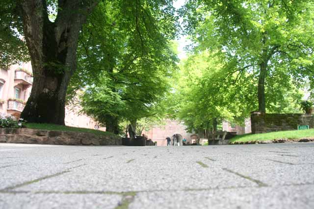 Bild