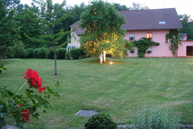 Bild