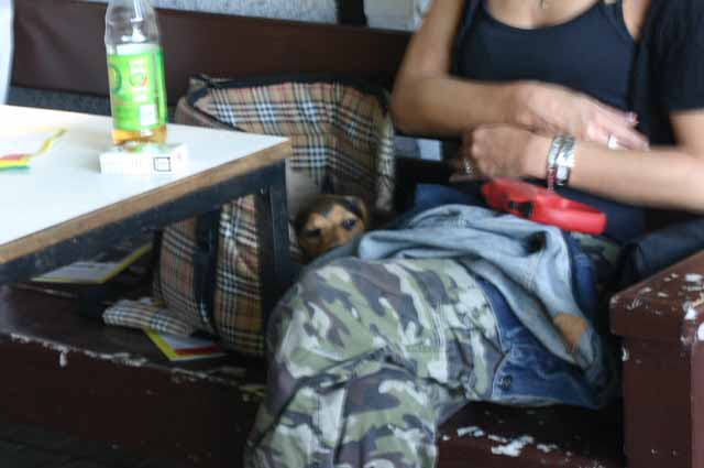 Bild