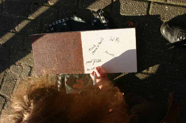 Bild