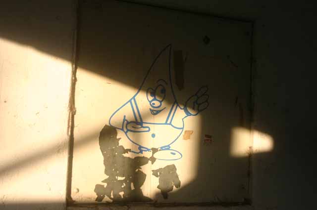 Bild