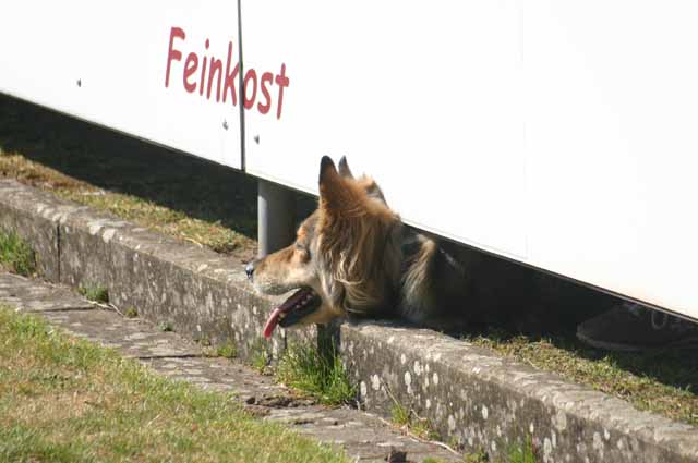 Bild