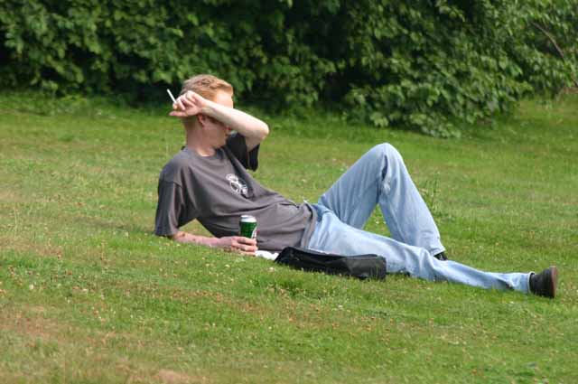 Bild